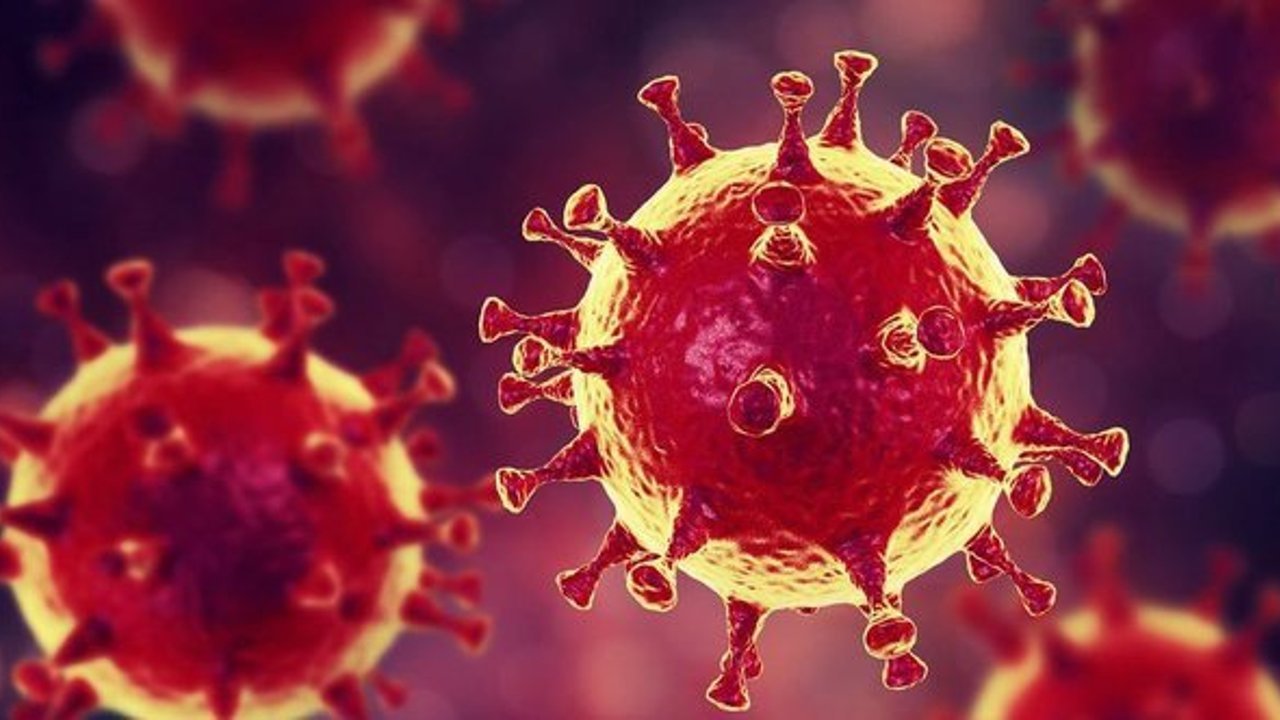 İşte Covid 19'un tek iyi yönü