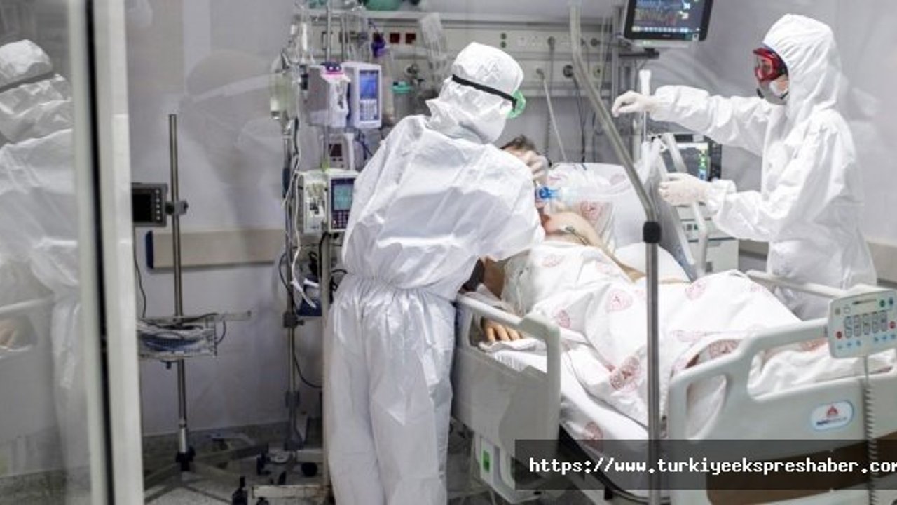 Son 24 saatte korona virüsten 232 kişi hayatını kaybetti