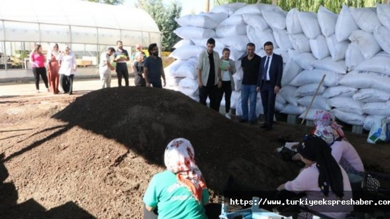Kaymakam Karaman: 300 Bin Adet Mevsimlik Çiçek Üretilecek