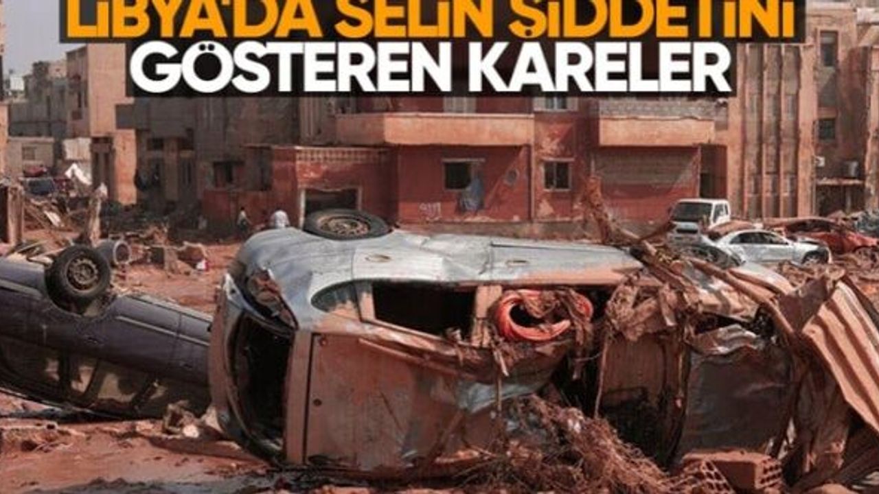 Libya'da selden geriye kalan kareler