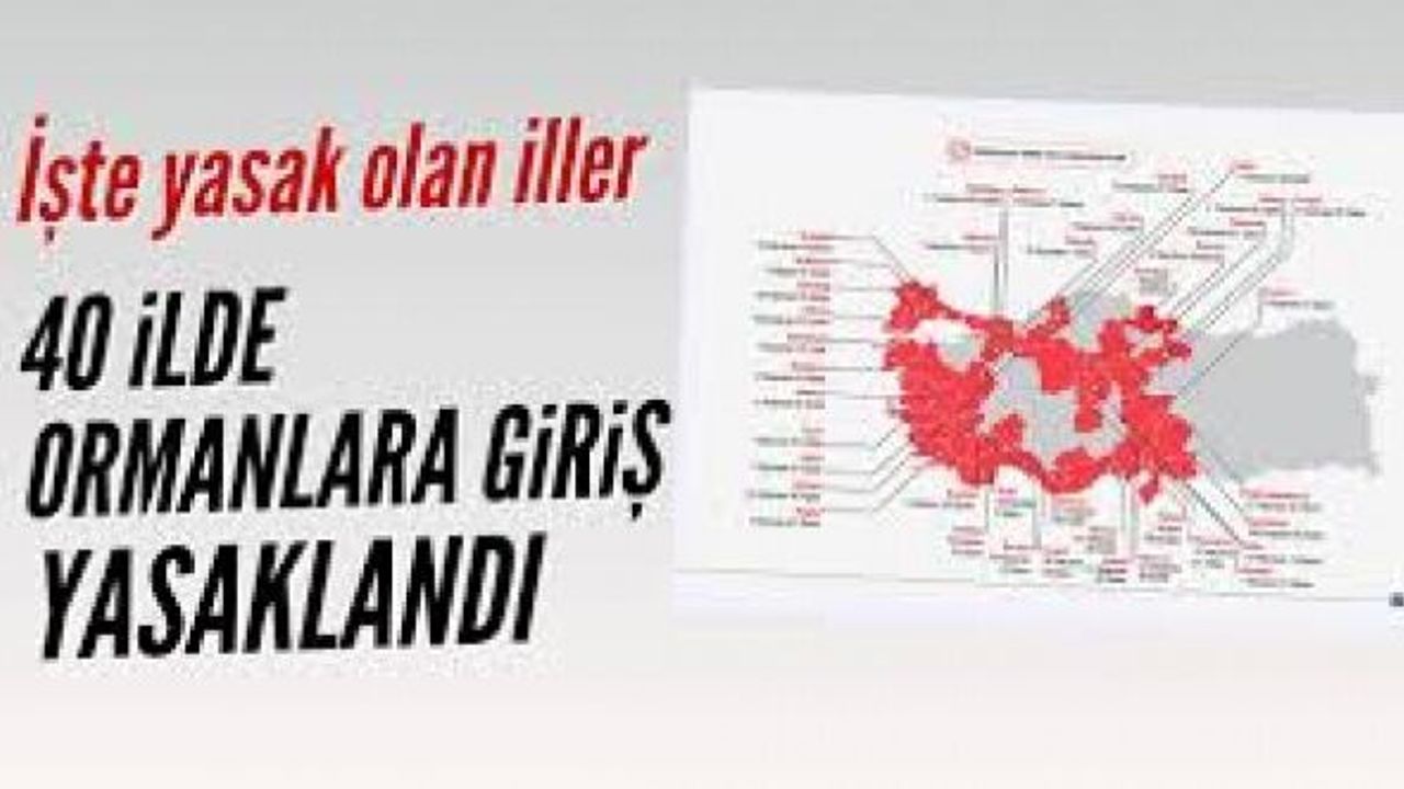 Türkiye genelinde 40 ilde ormanlara giriş yasağı