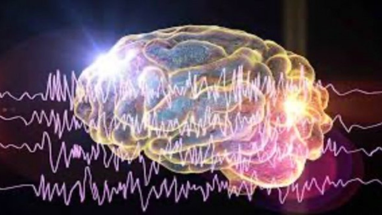 Nörobilim ve Sosyoloji: Bireyin ve Toplumun Kesişen Yolları