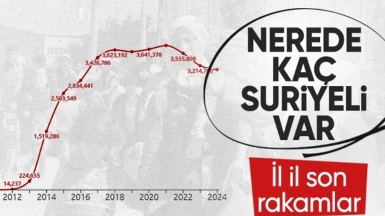 Türkiye'de en çok Suriyelinin yaşadığı 10 il