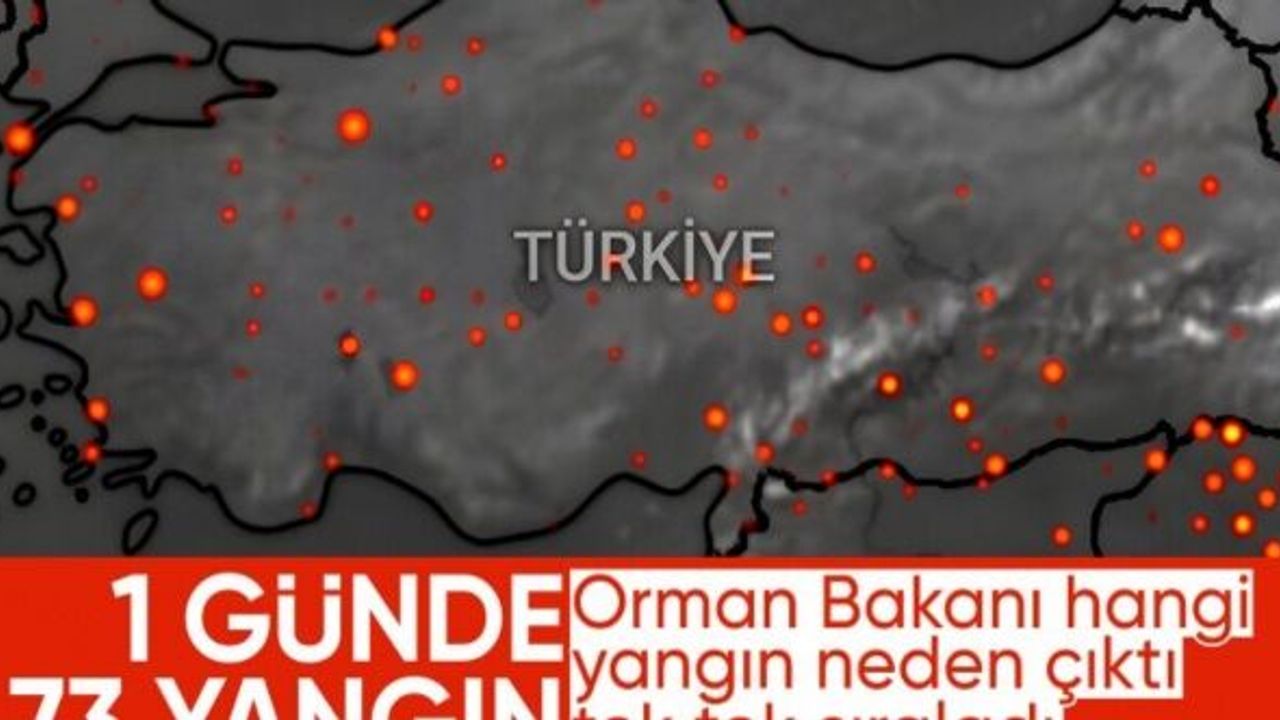 Bakan Yumaklı, yangınların çıkış nedenini açıkladı: Anız, piknik ateşi, sigara..