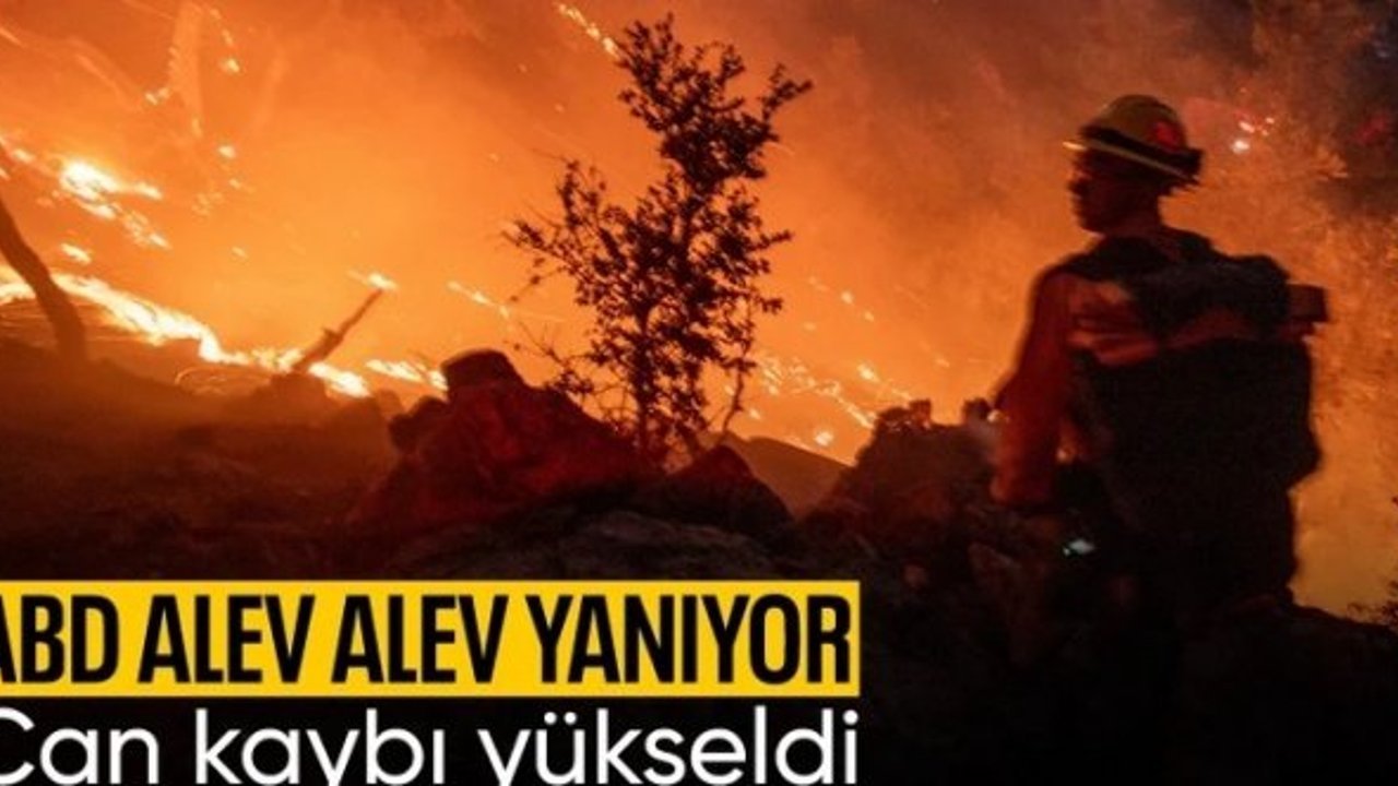 ABD'de orman yangını: Can kaybı 7'ye yükseldi