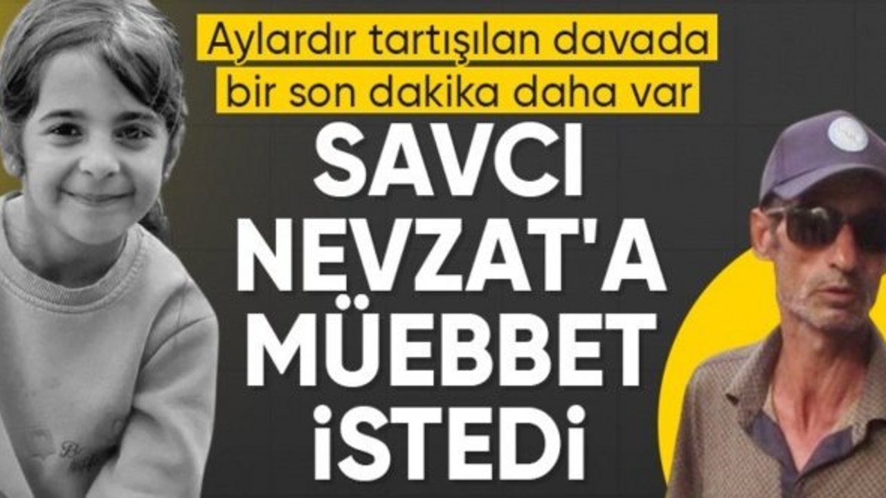 Narin davasında Nevzat Bahtiyar'a verilen cezaya itiraz edildi