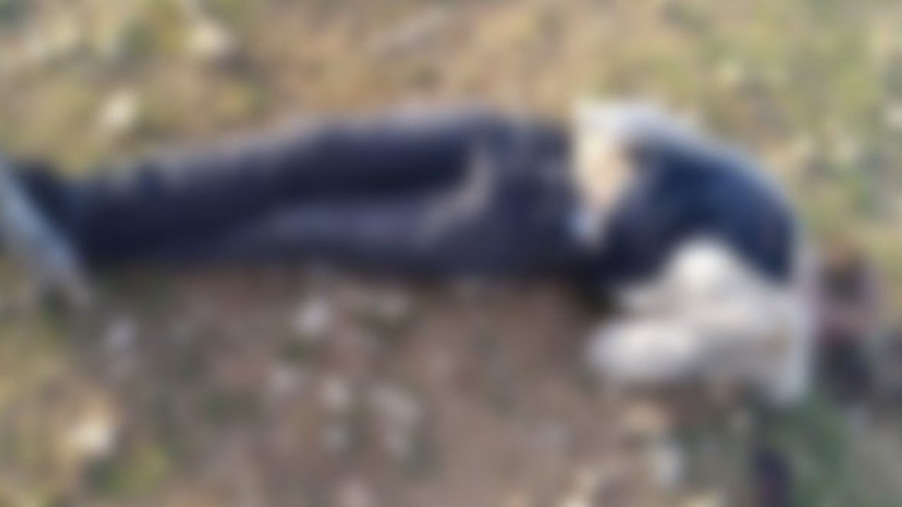 Mardin’de korkunç olay: başından vurulmuş halde bulundu
