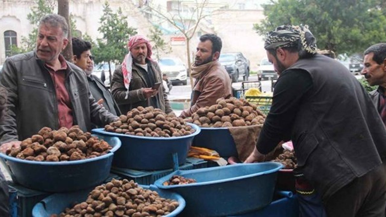 Şanlıurfa'da gücünü şimşekten almak isteyen parasına bakmayıp yiyor