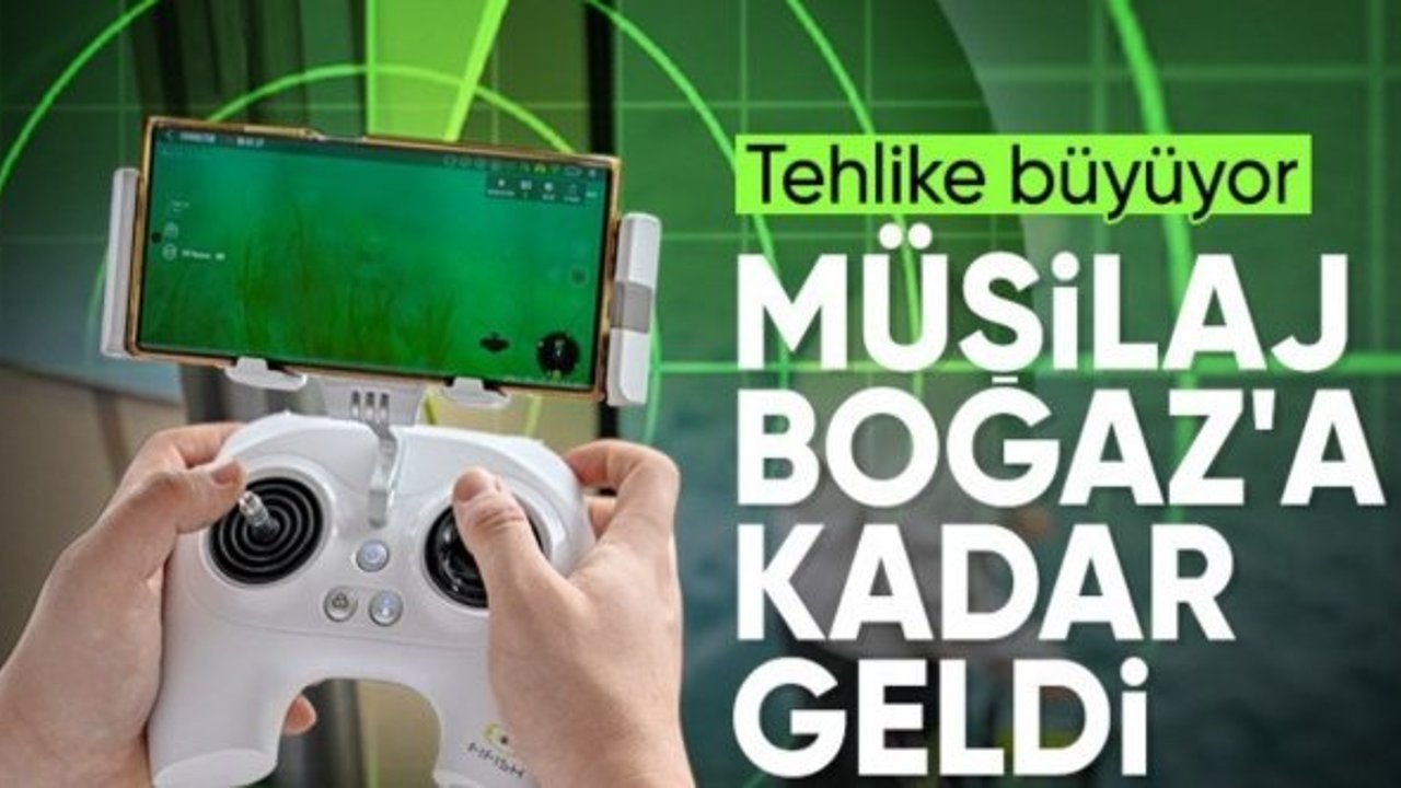 İstanbul Boğazı'ndaki deniz çayırlarının üzerindeki müsilaj arttı