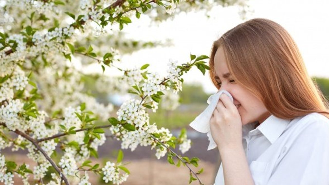Polen alerjisinden korunmanın 7 etkili yolu