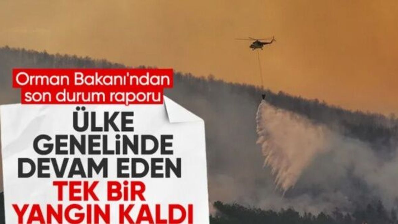 İbrahim Yumaklı'dan orman yangınlarına ilişkin son durum raporu