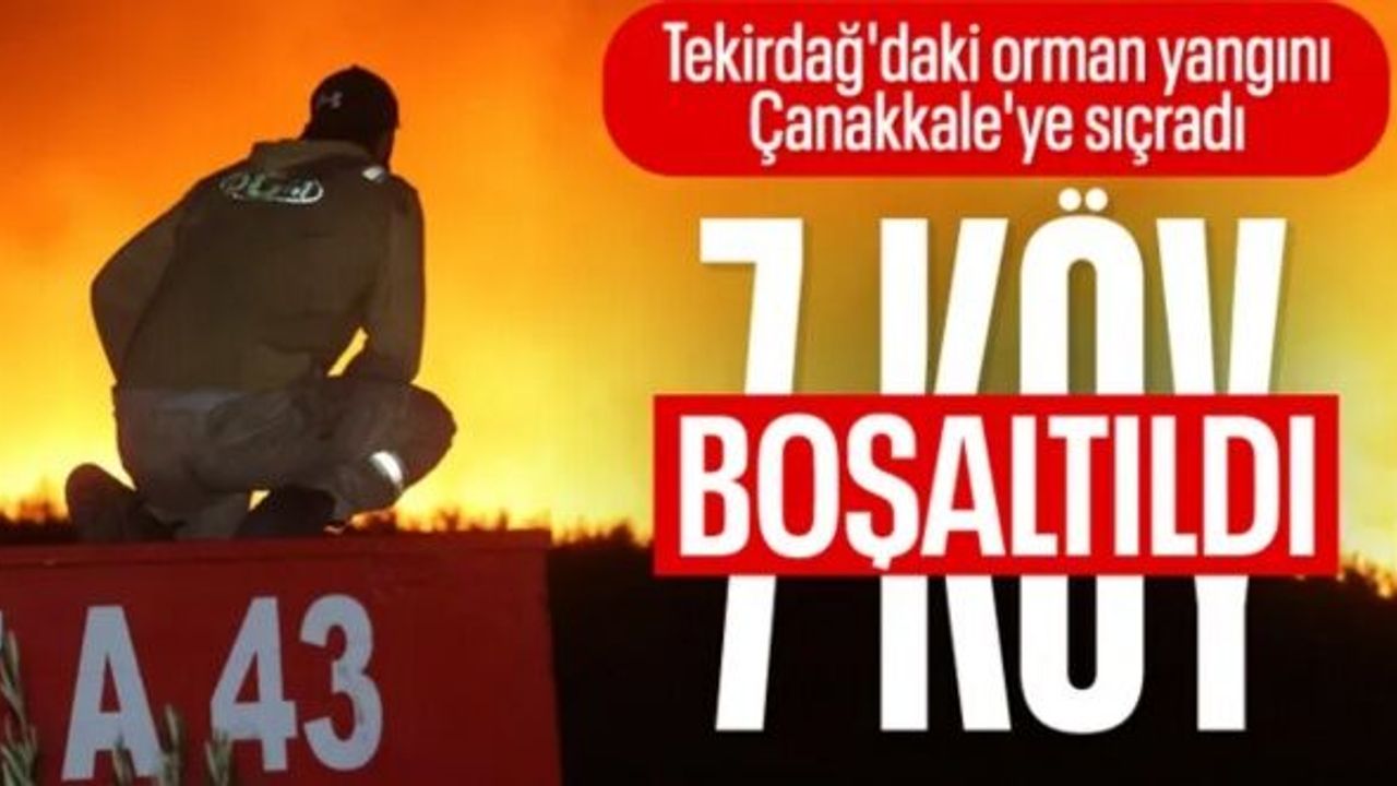 Tekirdağ ormanları alevler içinde yanmaya devam ediyor: Müdahale sürüyor