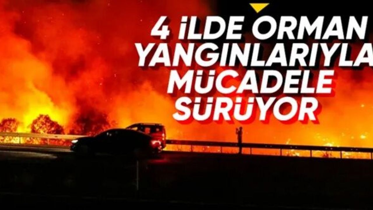 4 ilde orman yangını: Tahliyeler sürüyor