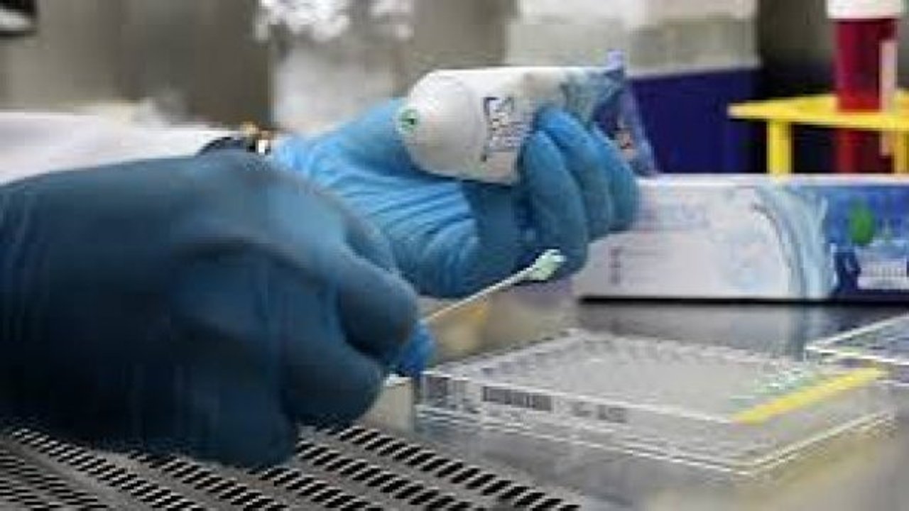 Bilim insanlarından yeni araştırma: Saçtan diş macunu üretimi