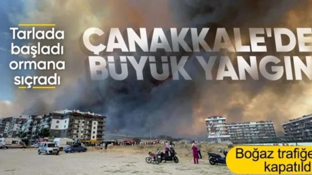 Çanakkale'de orman yangını: Alevler hastaneye yaklaştı