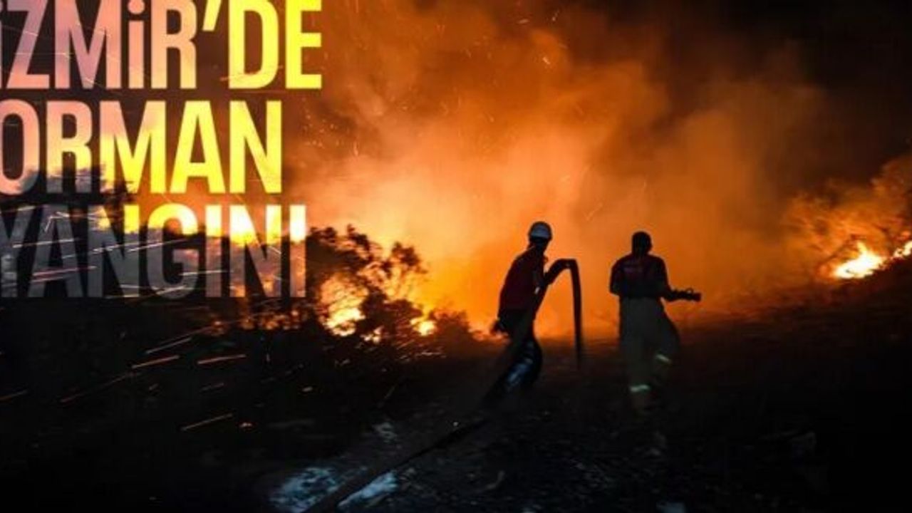İzmir'de orman yangını sürüyor: 3 kişi gözaltında