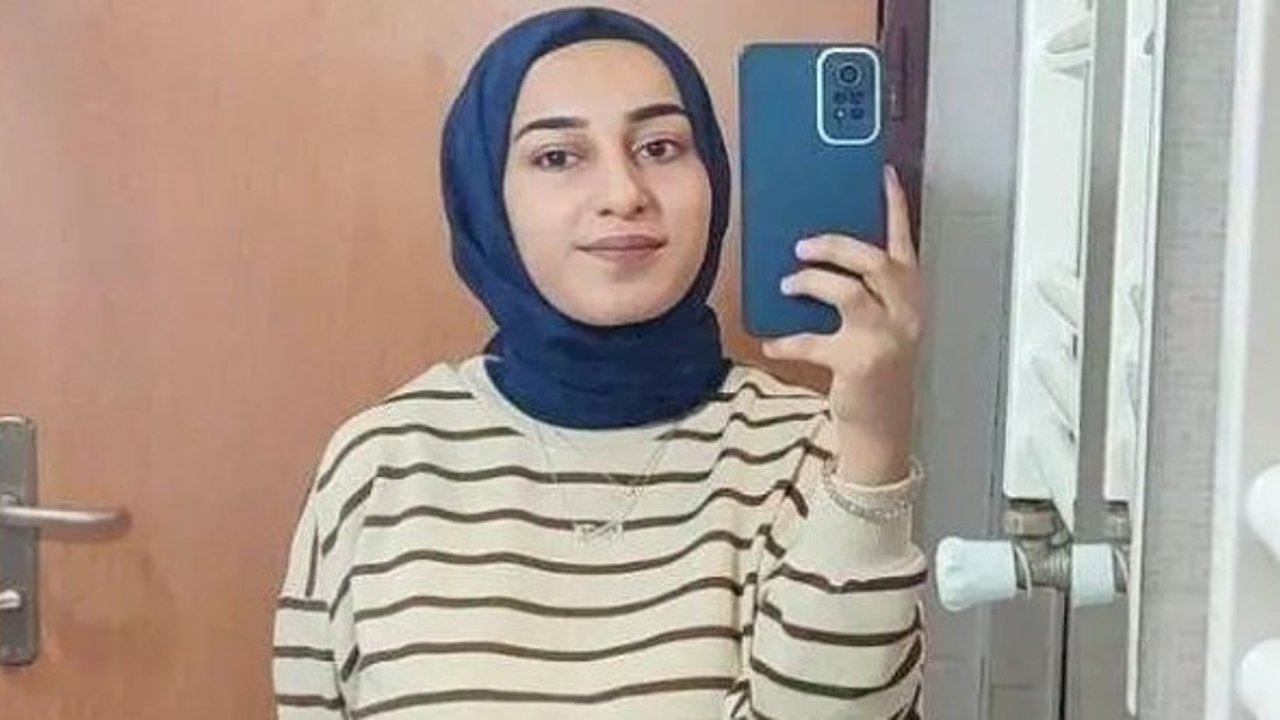 Rojin Kabaiş'in ölümü: Aile iki erkeğin DNA'sının araştırılmasını istiyor