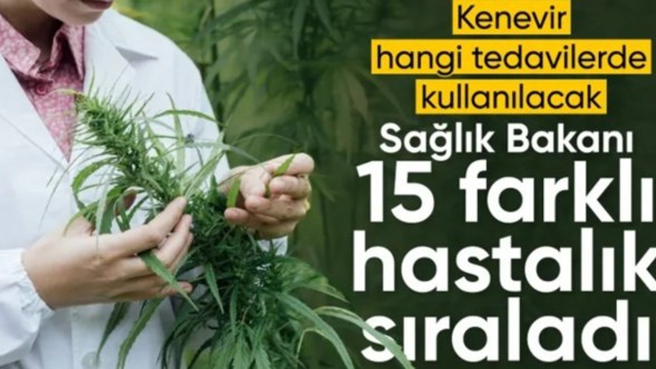 Tedavisinde tıbbi kenevir kullanılan 15 hastalık