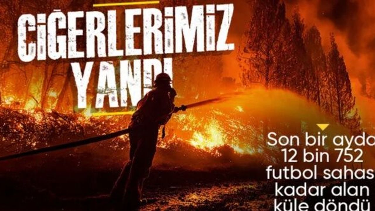 Türkiye'de bir ayda 12 bin 752 futbol sahası büyüklüğünde orman yandı