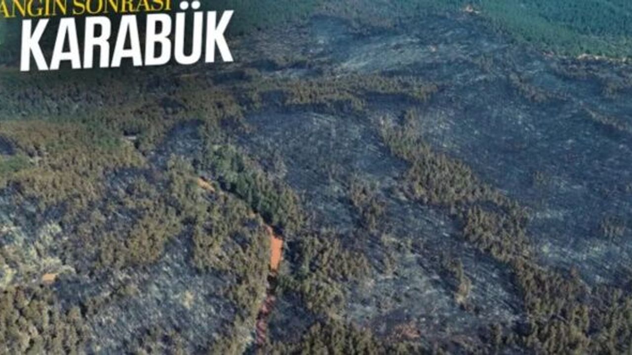 Karabük yangınından geriye acı tablo kaldı