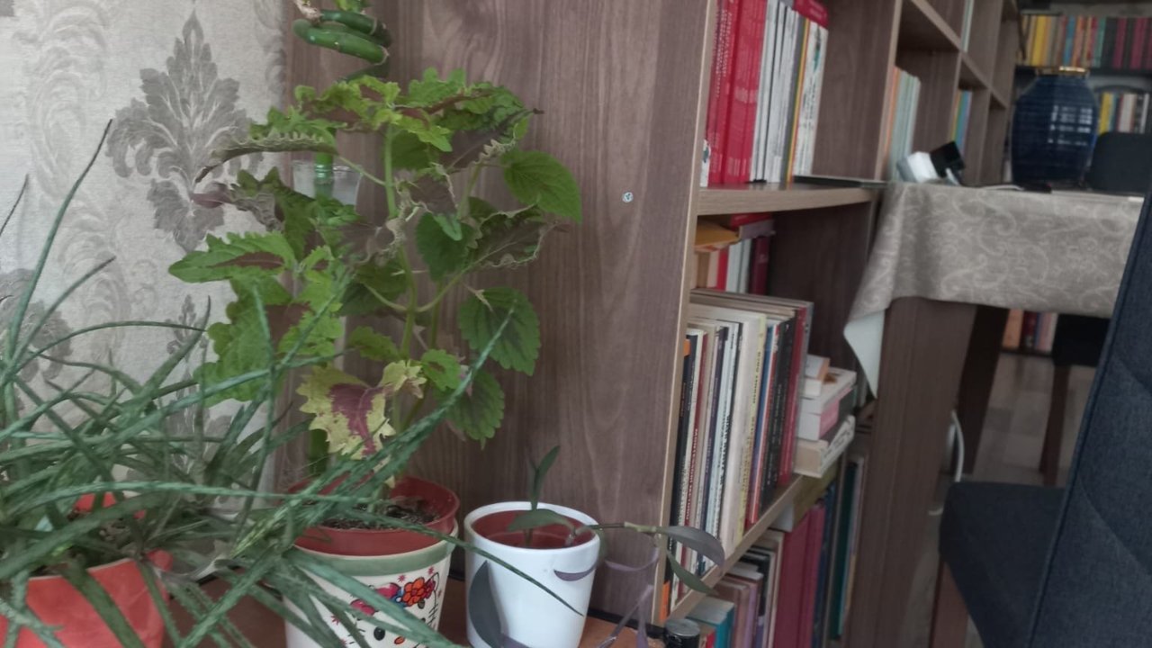 Kemal Varol Onu Sevdiğim Zamanlar  Pariste başlayan eser okuyucusunu farklı anlatı labirentlerinde gezdirdikten sonra sarsıcı bir finale ulaşır.