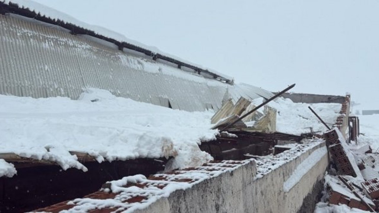 Diyarbakır'da ahır çöktü, 11 büyükbaş telef oldu