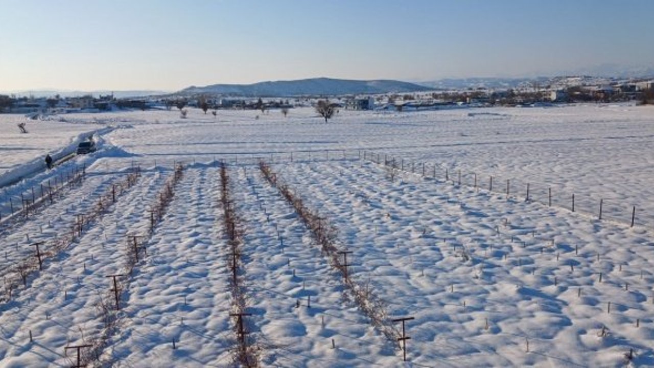 Diyarbakır'da kar yağışı çiftçiye umut oldu