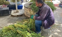 Diyarbakır’dan Elazığ’a gidiyor