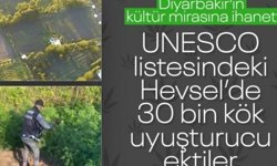 Diyarbakır'da 5,3 ton esrar üretilebilecek 30 bin kök kenevir ele geçirildi