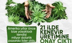 Resmi Gazete'de yayınlandı: 21 ilde kenevir üretimi yapılabilecek