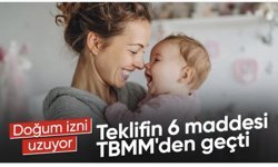 Doğum iznine yönelik düzenlemeleri içeren kanun teklifi TBMM'de