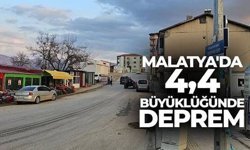 Malatya'da peş peşe 3.9 ve 4.4 büyüklüğünde 2 deprem meydana geldi