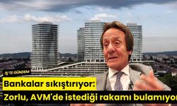 Bankalar sıkıştırıyor: Zorlu, AVM'de istediği rakamı bulamıyor