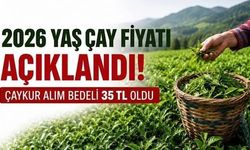 2026 yaş çay alım fiyatı açıklandı
