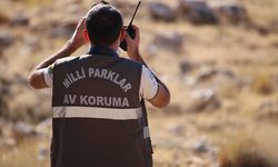 Doğa Koruma ve Milli Parklar Genel Müdürlüğü sözleşmeli personel alacak