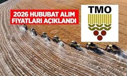 TMO 2026 yılı hububat alım ve satış fiyatlarını açıkladı