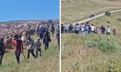 İki köy arasında arazi kavgası: 2 yaralı
