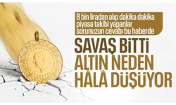 Altın fiyatlarındaki düşüşün nedenleri