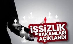 TÜİK, işsizlik rakamlarını açıklandı