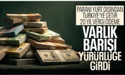 Maliye, varlık barışı uygulamasının detaylarını paylaştı
