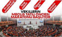 TBMM, NATO Zirvesi'nin ardından yoğun mesaiye hazırlanıyor