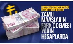 SON DAKİKA! Enflasyon farklarının yatacağı tarih belli oldu