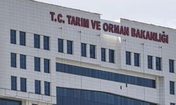 Tarım ve Orman Bakanlığı 1874 sözleşmeli personel alacak