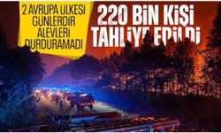 Fransa ve İspanya'daki orman yangınları nedeniyle 220 binden fazla kişi tahliye edildi