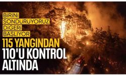 Orman Bakanı Yumaklı: 115 yangından 110'u kontrol altında