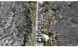 Fethiye'de yanan ormanlık alan havadan görüntülendi