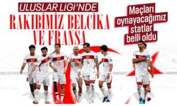 A Milli Takım'ın Belçika ve Fransa maçlarını oynayacağı statlar açıklandı