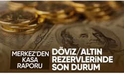Merkez Bankası'nın toplam rezervleri 164,4 milyar dolara yükseldi