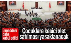 TBMM'de Çocuk Koruma Kanunu teklifinde 6 madde daha kabul edildi