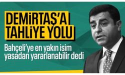 MHP'li Feti Yıldız'dan Selahattin Demirtaş açıklaması: Yasa kapsamında
